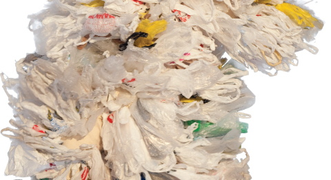 Zero Waste | Transition Newburyport